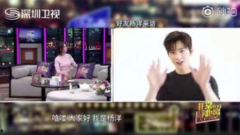 郑州爆料吃货视频最新,最新爆料吃货视频带你领略地道的郑州味蕾之旅  第1张