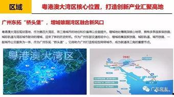 广州edy最新爆料,揭秘城市热点事件背后的真相  第3张